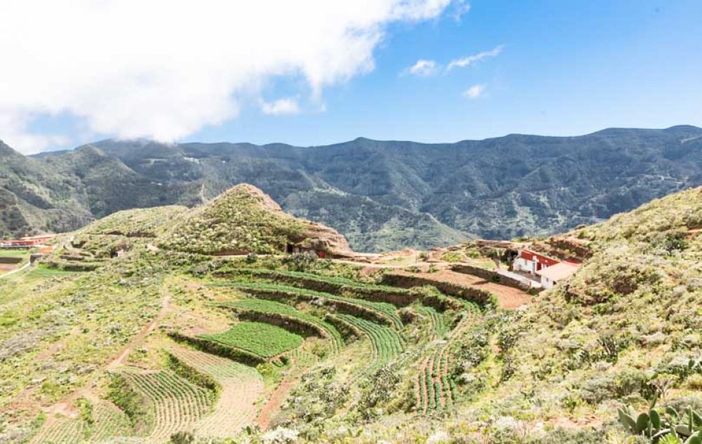 Que faire à Tenerife